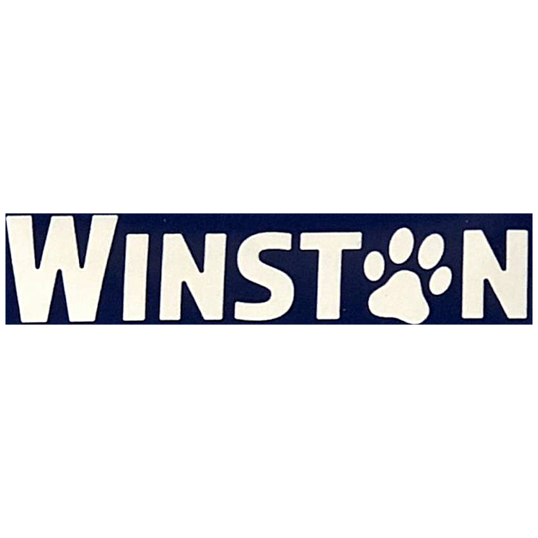 Winston
